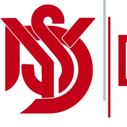 DYS Çanta